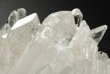 Clear Quartz Crystal Cluster - Brazil #259250-1